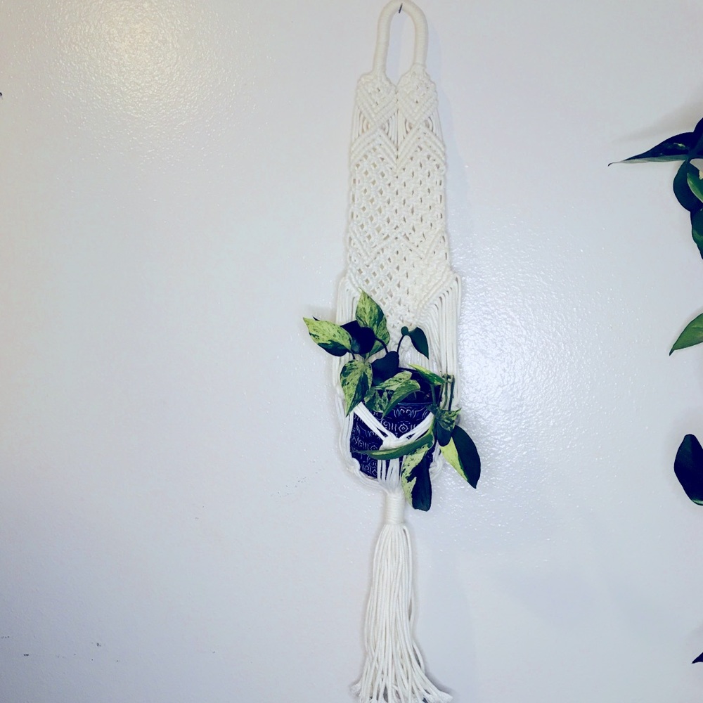 Macrame Plants hanger